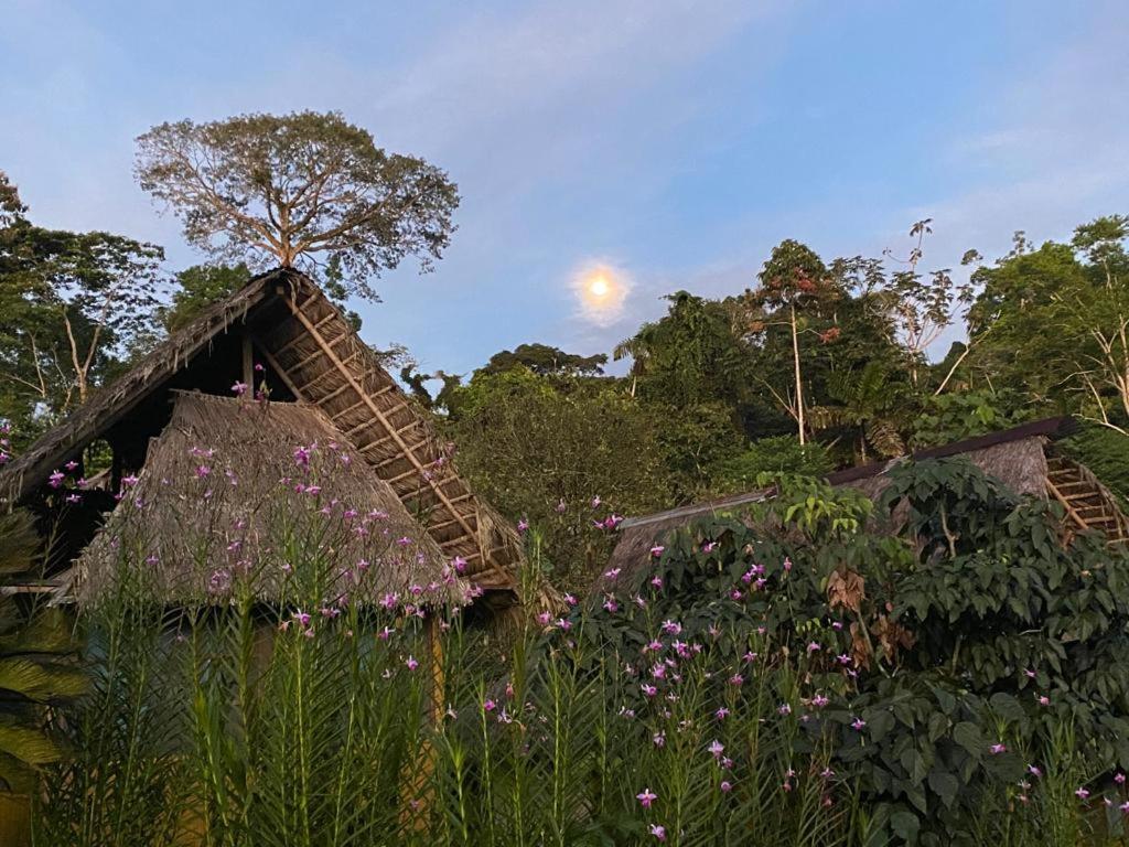 Yarina Eco Lodge Derna Екстериор снимка